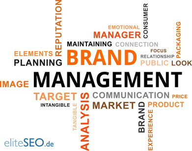 Social Brand Marketing Infographic